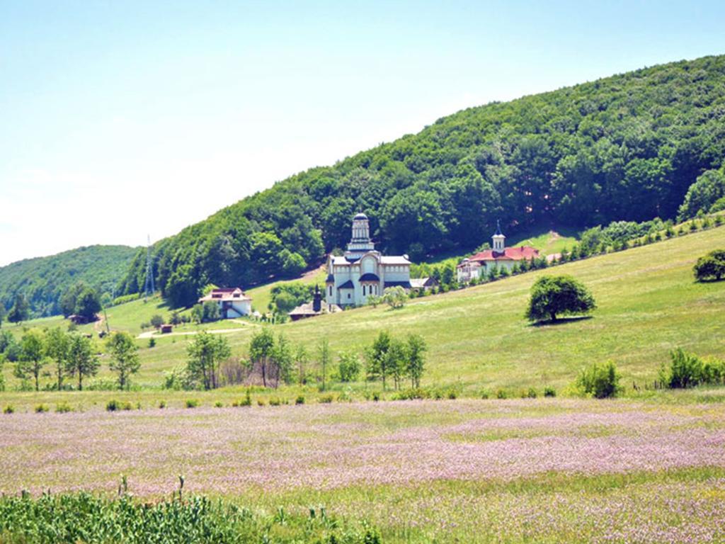 בית הארחה Întorsura Buzăului 	Casa Bradet מראה חיצוני תמונה